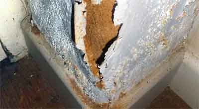 Showing a rising damp damaged wall with salt and blistering to the plaster